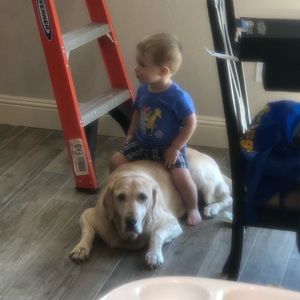 Meet your Posher, Matthew